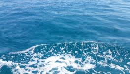 La nuit du chant des sirènes