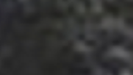 autobiographies #05 | Le Bouleau (x3), titre plus que provisoire