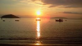 Symbolique du Papillon (7) : Métamorphose