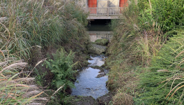 Pourquoi pleures-tu?