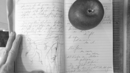 Petits Papiers Volants : Journal D'écriture 2003-2019- 11-12-2004