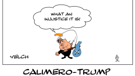 Calimero-Trump , c'est vraiment trop injuste !