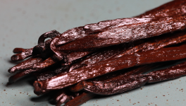 Le Vanillier : Une Exploration Scientifique et Technique de Vanilla planifolia