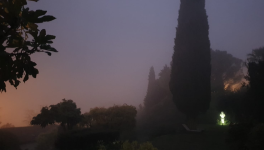 Pour Apprendre ...De l'Arbre de la Connaissance à la Connaissance de l'Arbre