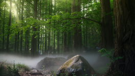 Chapitre 4 Air-thérapie