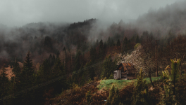 Jean & Jean, souliers de satin : Barbichon