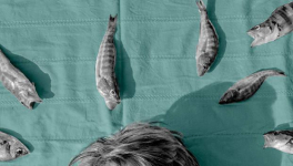 Comment j'ai rencontré les poissons