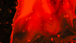 Tout nous porte à frémir