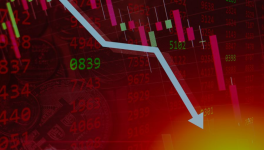 Partie 2 : La remise en question - Chap. 10 : La migration - Sct. III : Et puis vint "la crise"... - Sqc .b : Le retour aux sources ?