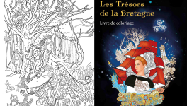 Une sorcière comme Morgane