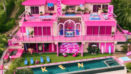 We are not stupid. Who then ?THE COVID19 CASE