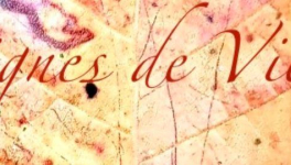 L'Unification des Lignes de l'Espace-Temps