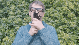 Le Comptoir de Toamasina : Un Spécialiste de la Vanille souhaite s'installer dans le Var