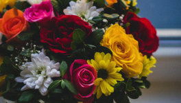 (I, 3) : Le pot aux roses