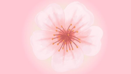 𝘔𝘢𝘪𝘴 𝘢𝘶 𝘧𝘢𝘪𝘵, 𝘲𝘶'𝘦𝘴𝘵-𝘤𝘦-𝘲𝘶𝘦 𝘭𝘦 𝘉𝘰𝘯𝘩𝘦𝘶𝘳?