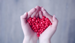 Résignation ou résilience ? 