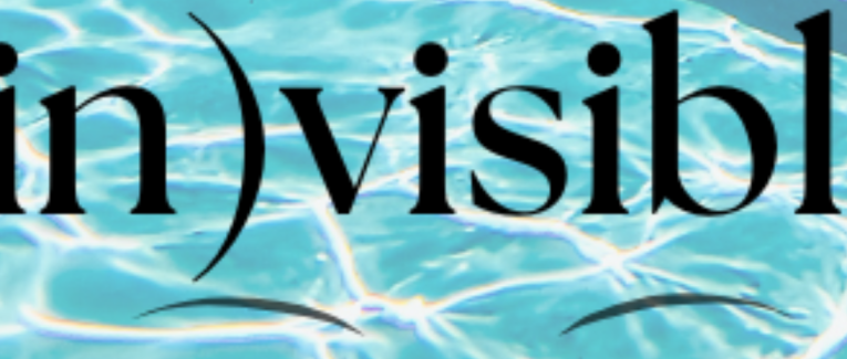 (in)visible