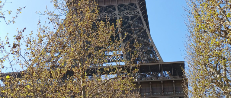 L'ARMURE RÉVÉLÉE ET LE SERMENT TRANSMUTÉ