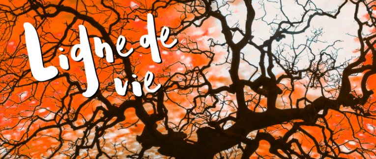 Ligne de vie