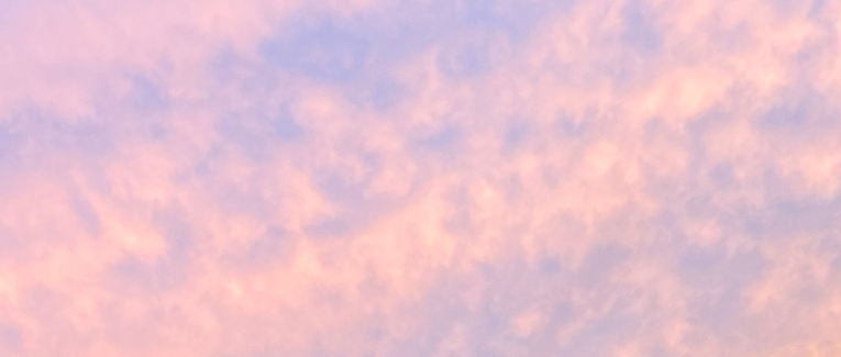 T.V