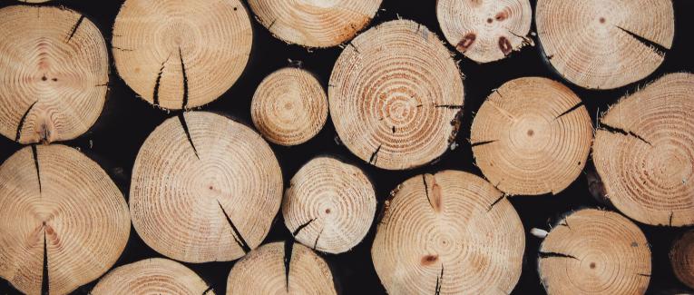 7ème Journée Internationale des forêts à Montner samedi 21 mars