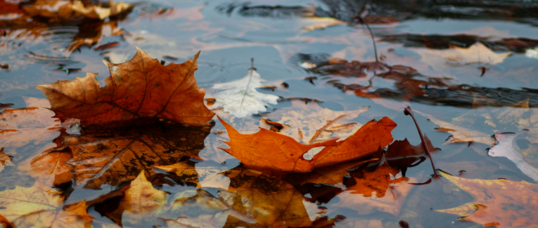 La PAL du mois de Septembre 2024