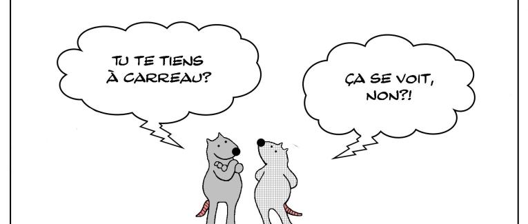 Le rat qui se tenait à carreau