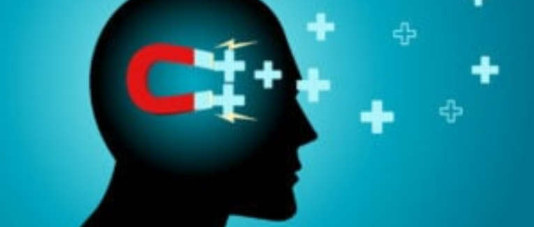 Aphorisme n° 23 : Loi de l'attraction