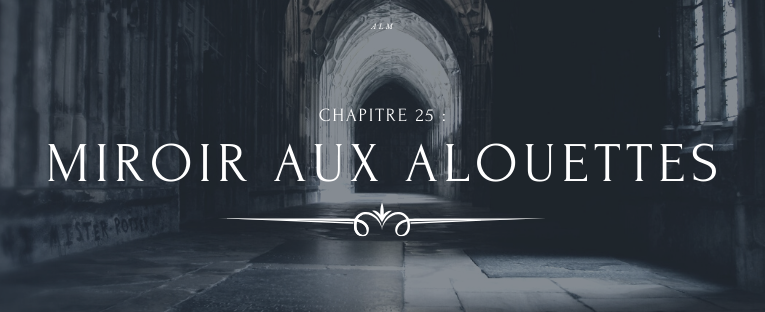 A la Moldue - Chapitre 25 : Miroir aux alouettes