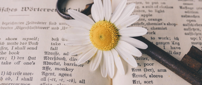 Février: Hippocalliphène