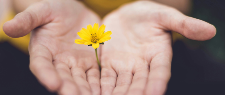 Dans les yeux de Papi