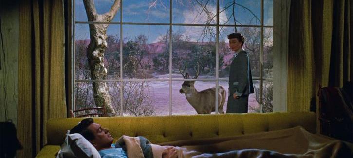 Tout ce que le ciel permet (All That Heaven Allows, Douglas Sirk, 1955)