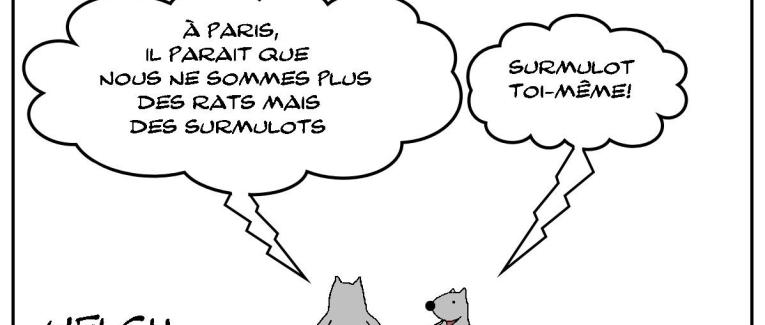 Surmulot toi-même