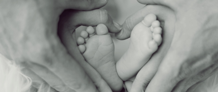 Adoption
