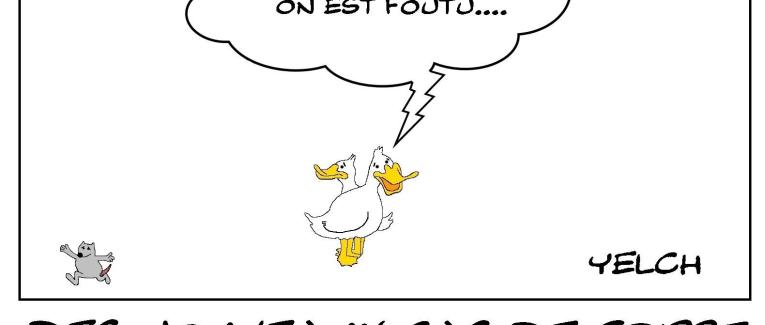 La grippe aviaire est de retour