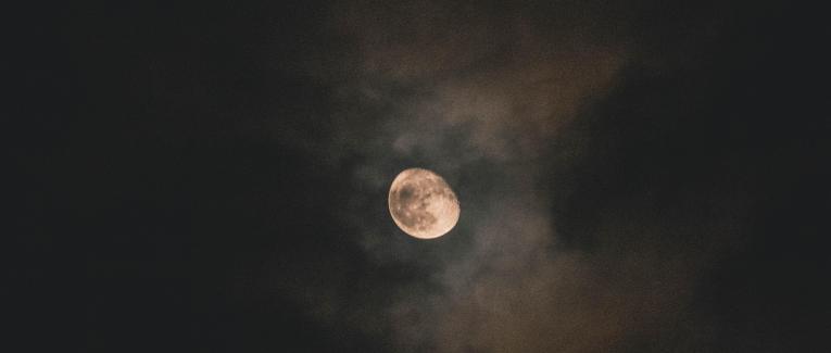 Portrait Nocturne