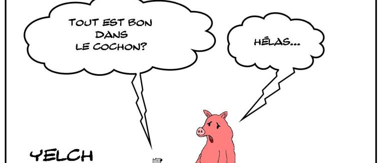 Tout est bon dans le cochon