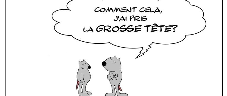 Le rat qui avait la grosse tête
