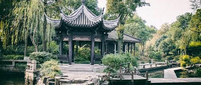 NO CHOICE : SPEAKING OUT (Remedy to Covid19 (Mafia-Sect- [insane]Plan) - Nous n'avons pas d'autre choix que de parler contre le covid (la secte mafieuse avec son plan [ma