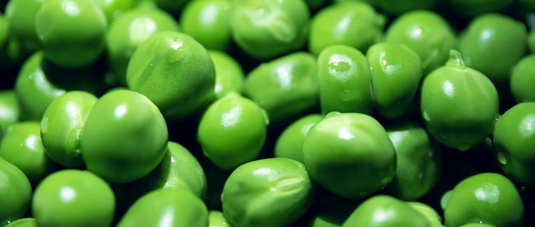 Mon heure de petit pois