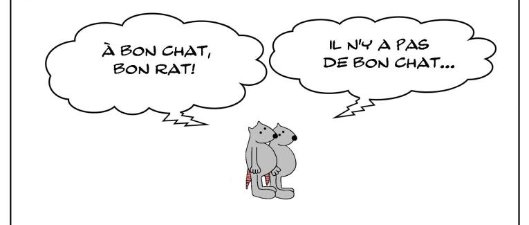 Le bon rat mais pas le bon chat...