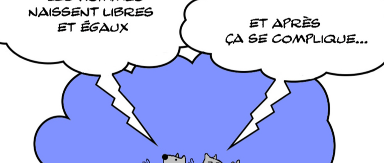 Les hommes naissent libres et égaux