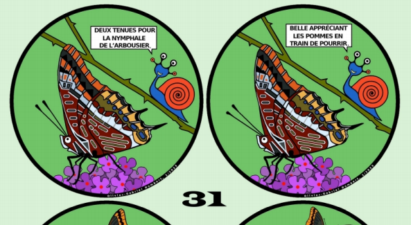 Revue Pantouns N°31– Sélection de l’appel à textes « Noms de papillons »