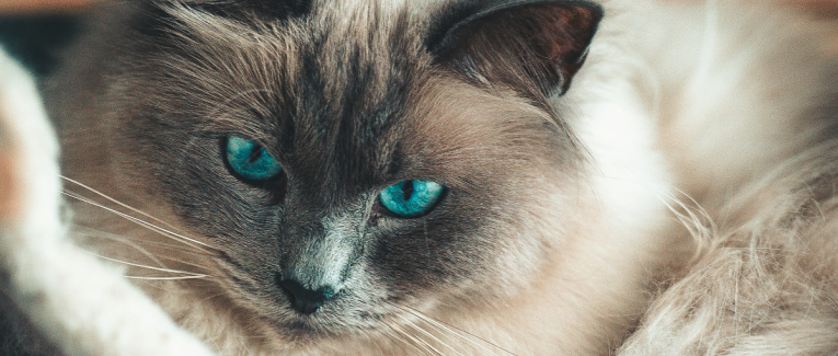 Points Médians - le retour