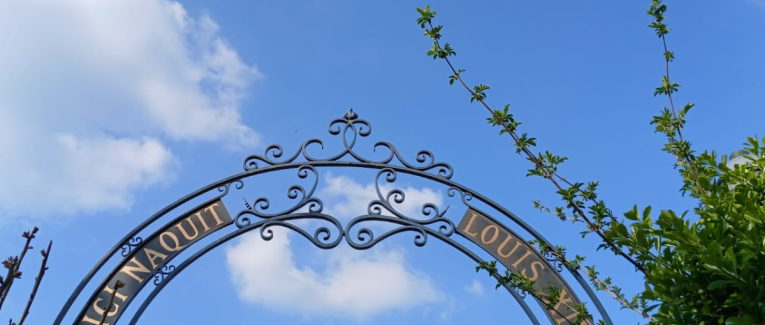 LA SALAMANDRE ET LE SEL CENTRAL