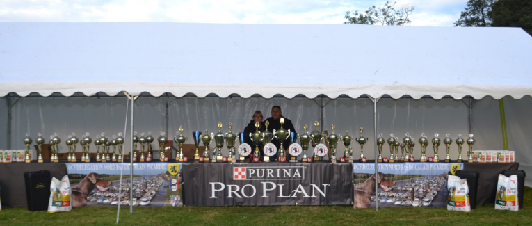 NORTHEN REGIONAL DOBERMANN SHOW - FRANCE