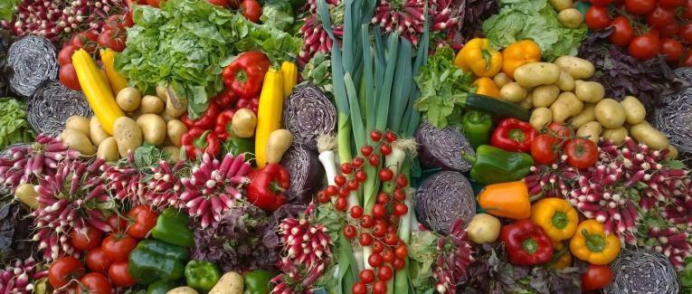 Les préjugés sur la nourriture sont "sans faim".