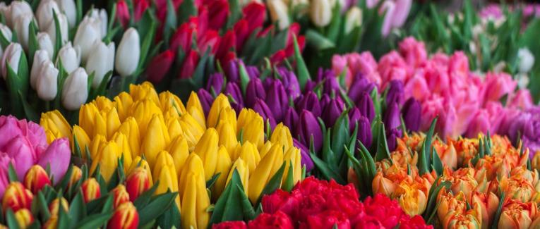 Le langage des fleurs