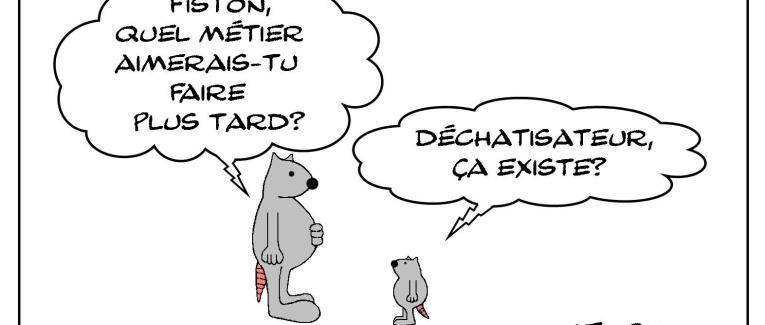 Déchatisateur