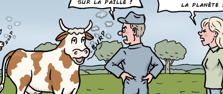 le rot des vaches en question